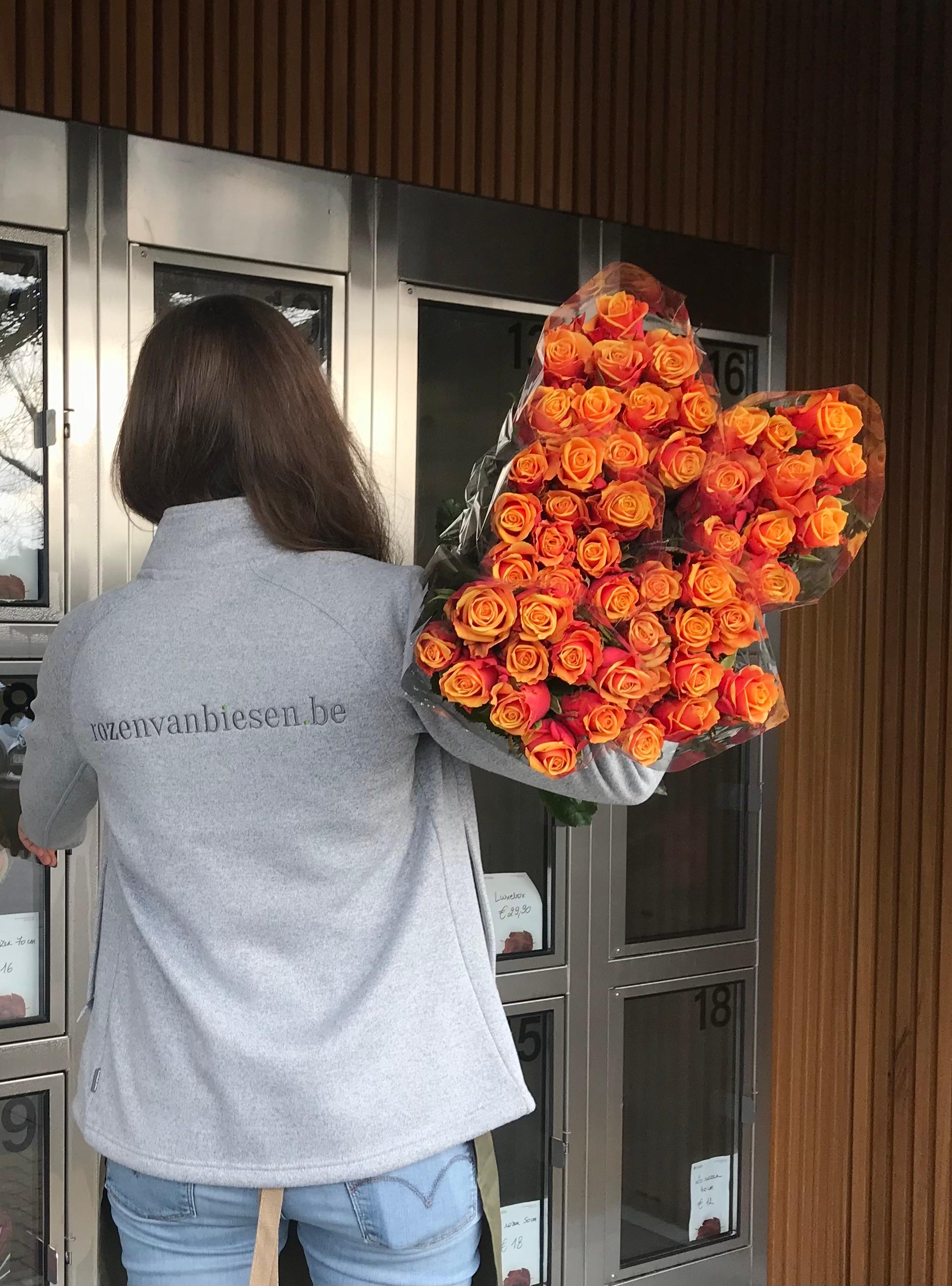 Gesorteerde rozen klaar voor de bloemist