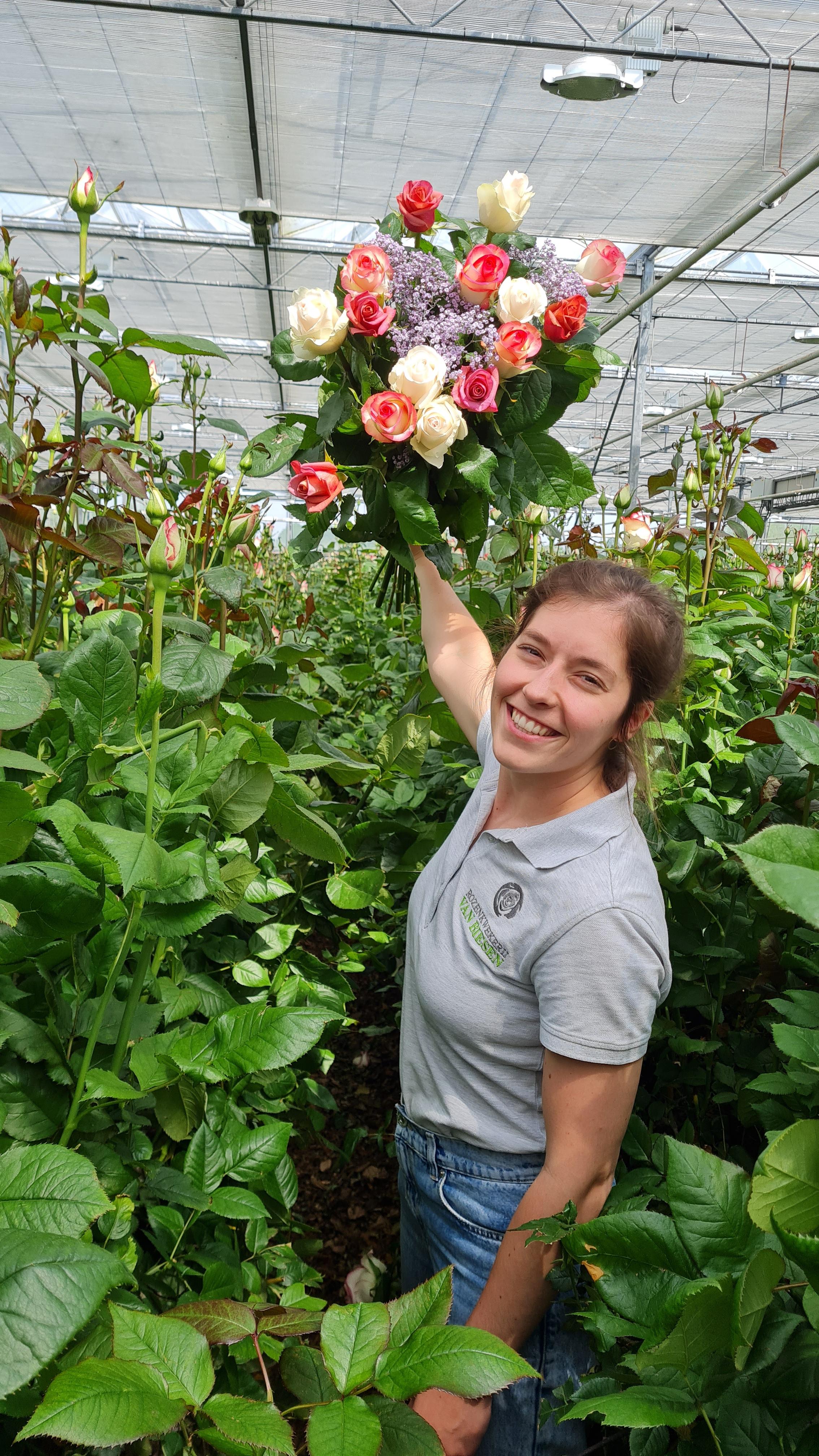 Boeket verse rozen voor particulieren